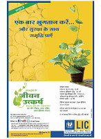 dastak December 2017 for net35