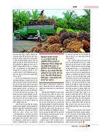 DT nov_merged-page-00045