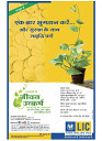 dastak December 2017 for net35