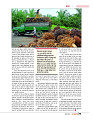 DT nov_merged-page-00045