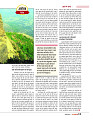 DT web feb 24-page-00042